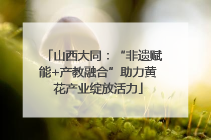 山西大同：“非遗赋能+产教融合”助力黄花产业绽放活力