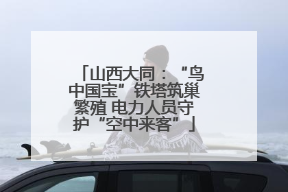 山西大同：“鸟中国宝”铁塔筑巢繁殖 电力人员守护“空中来客”
