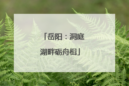 岳阳：洞庭湖畔砺舟楫