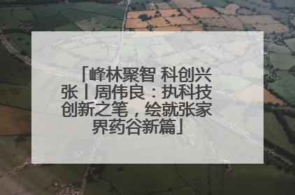 峰林聚智 科创兴张丨周伟良：执科技创新之笔，绘就张家界药谷新篇