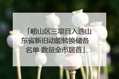 崂山区三项目入选山东省新旧动能转换储备名单 数量全市居首