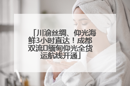 川渝丝绸、仰光海鲜3小时直达！成都双流⇌缅甸仰光全货运航线开通