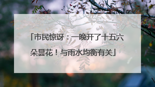 市民惊讶：一晚开了十五六朵昙花！与雨水均衡有关