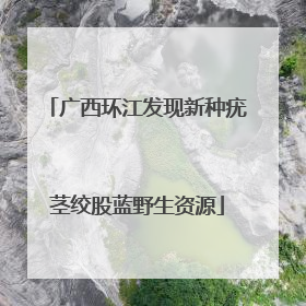 广西环江发现新种疣茎绞股蓝野生资源