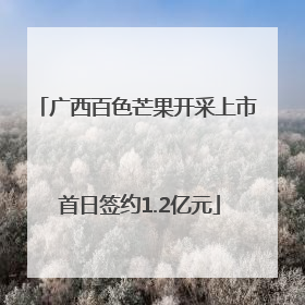 广西百色芒果开采上市 首日签约1.2亿元