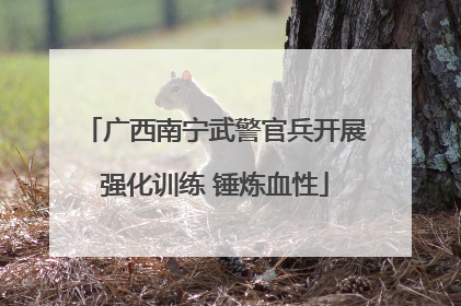 广西南宁武警官兵开展强化训练 锤炼血性