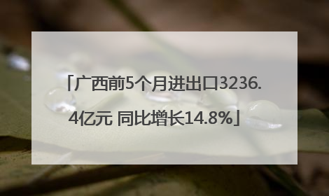 广西前5个月进出口3236.4亿元 同比增长14.8%