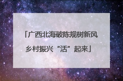 广西北海破陈规树新风 乡村振兴“活”起来