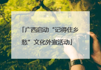 广西启动“记得住乡愁”文化外宣活动