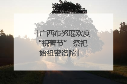 广西布努瑶欢度“祝著节” 祭祀始祖密洛陀