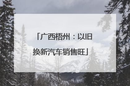 广西梧州：以旧换新汽车销售旺