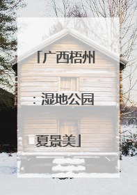 广西梧州：湿地公园夏景美