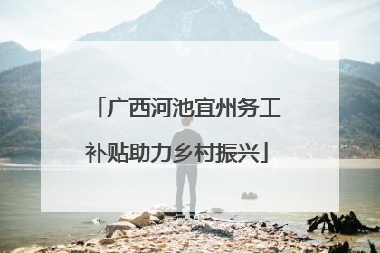 广西河池宜州务工补贴助力乡村振兴