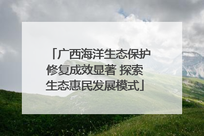 广西海洋生态保护修复成效显著 探索生态惠民发展模式