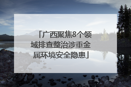 广西聚焦8个领域排查整治涉重金属环境安全隐患