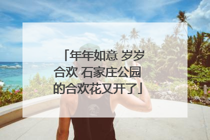 年年如意 岁岁合欢 石家庄公园的合欢花又开了