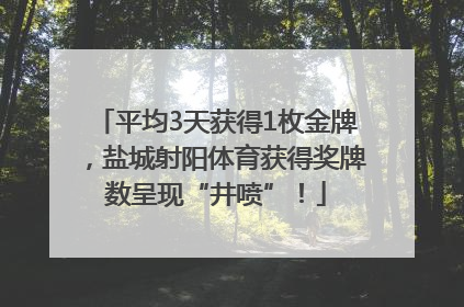 平均3天获得1枚金牌，盐城射阳体育获得奖牌数呈现“井喷”！