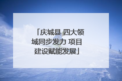 庆城县 四大领域同步发力 项目建设赋能发展