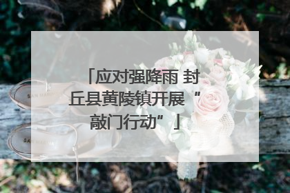 应对强降雨 封丘县黄陵镇开展“敲门行动”