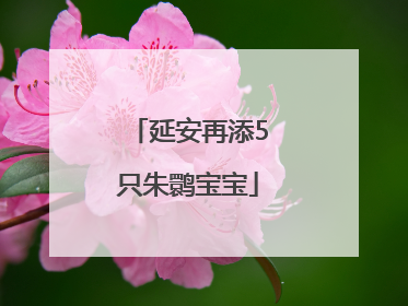 延安再添5只朱鹮宝宝