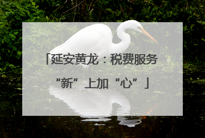 延安黄龙：税费服务“新”上加“心”