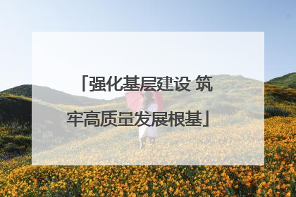 强化基层建设 筑牢高质量发展根基