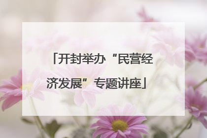 开封举办“民营经济发展”专题讲座