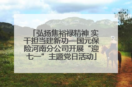 弘扬焦裕禄精神 实干担当建新功—国元保险河南分公司开展“迎七一”主题党日活动