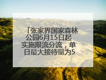 张家界国家森林公园6月15日起实施限流分流，单日最大接待量为5.3万人