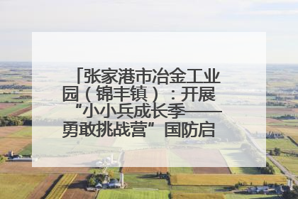 张家港市冶金工业园（锦丰镇）：开展“小小兵成长季——勇敢挑战营”国防启蒙教育活动