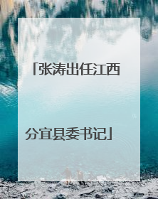 张涛出任江西分宜县委书记