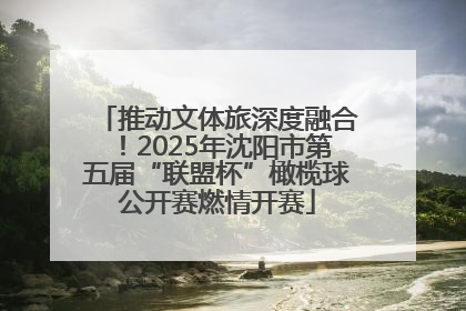 推动文体旅深度融合！2025年沈阳市第五届“联盟杯”橄榄球公开赛燃情开赛