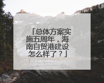 总体方案实施五周年，海南自贸港建设怎么样了？