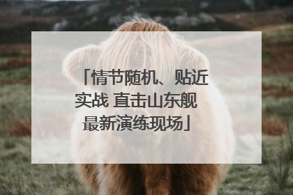 情节随机、贴近实战 直击山东舰最新演练现场