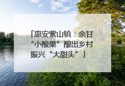 惠安紫山镇：余甘“小酸果”酿出乡村振兴“大甜头”