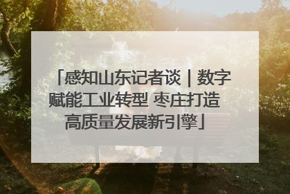 感知山东记者谈｜数字赋能工业转型 枣庄打造高质量发展新引擎