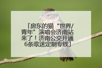 房东的猫“世界/青年”演唱会济南站来了！济南公交开通6条歌迷定制专线