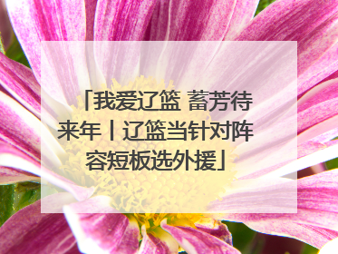 我爱辽篮 蓄芳待来年丨辽篮当针对阵容短板选外援