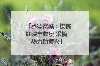 承德宽城：樱桃红映丰收景 采摘热力助振兴