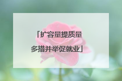 扩容量提质量 多措并举促就业