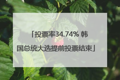 投票率34.74% 韩国总统大选提前投票结束