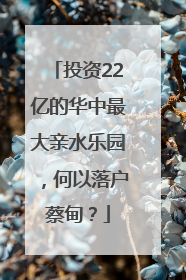 投资22亿的华中最大亲水乐园，何以落户蔡甸？