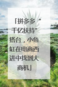 拼多多“千亿扶持”搭台，小鱼缸在电商西进中找到大商机