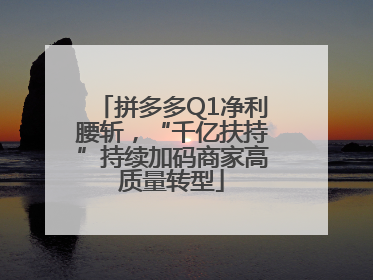 拼多多Q1净利腰斩，“千亿扶持”持续加码商家高质量转型
