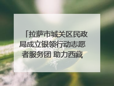 拉萨市城关区民政局成立银领行动志愿者服务团 助力西藏银发经济发展