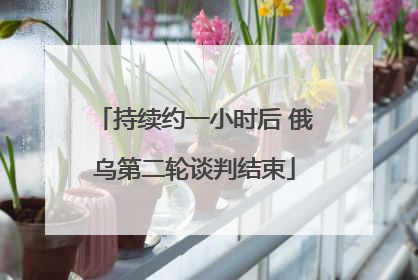 持续约一小时后 俄乌第二轮谈判结束