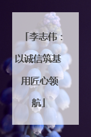 李志伟：以诚信筑基 用匠心领航