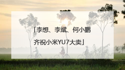 李想、李斌、何小鹏齐祝小米YU7大卖