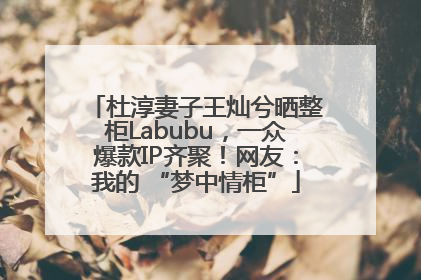 杜淳妻子王灿兮晒整柜Labubu，一众爆款IP齐聚！网友：我的 “梦中情柜”