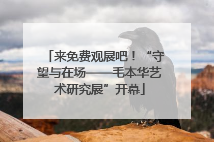 来免费观展吧！“守望与在场——毛本华艺术研究展”开幕